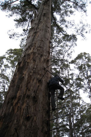 yo[g@Pemberton