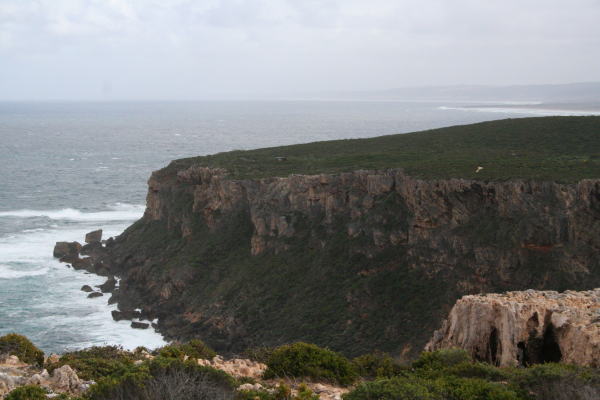 m[XNt@Northcliffe